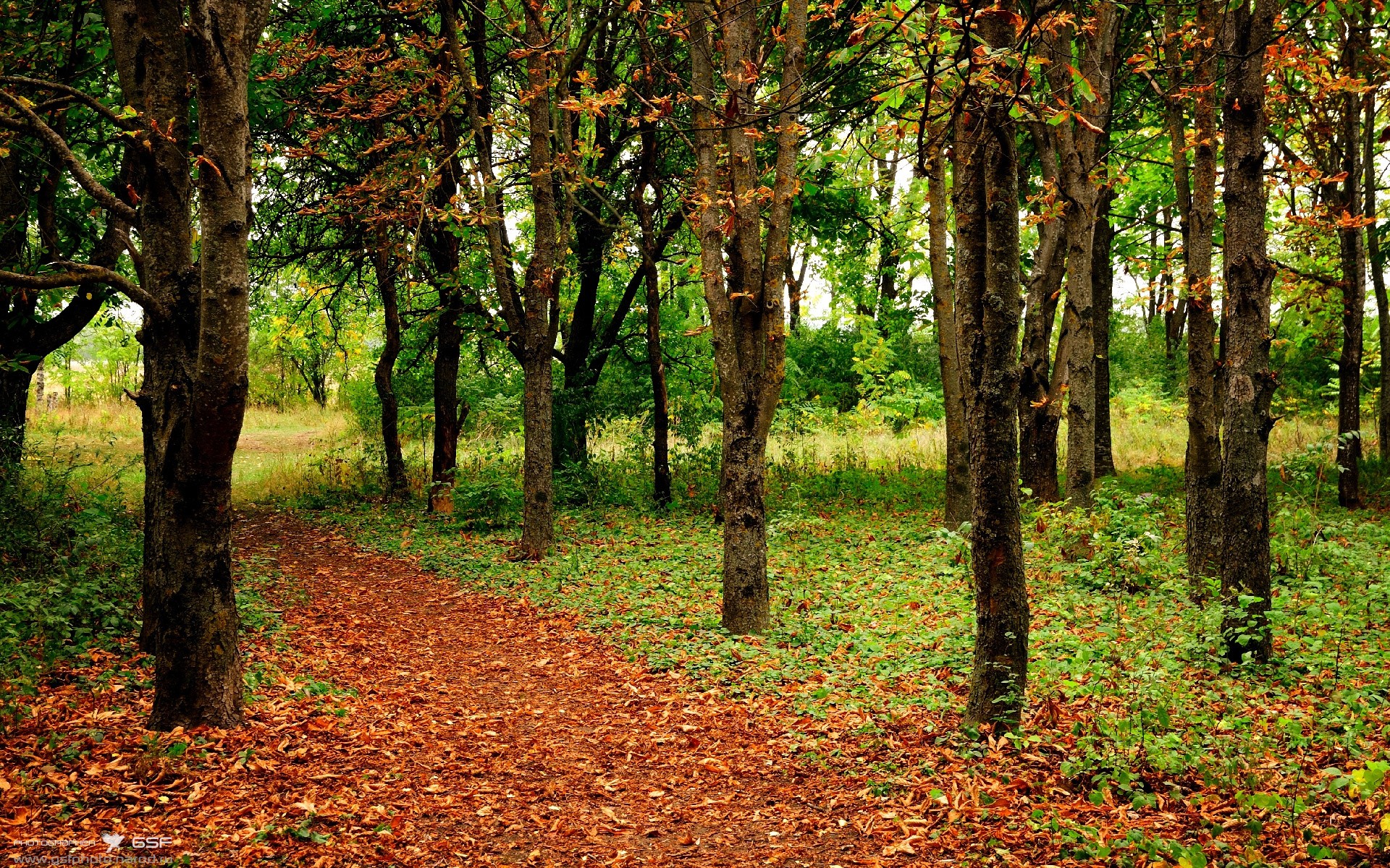 雷火电竞简介-撕裂夜色，世界排名争夺战之夜，基米希的战争与微光