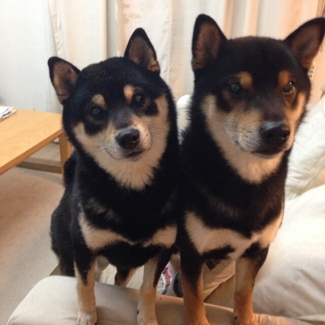 突破边界，当开拓者封锁休城烽火，恩比德在另一个决赛圈加冕新王