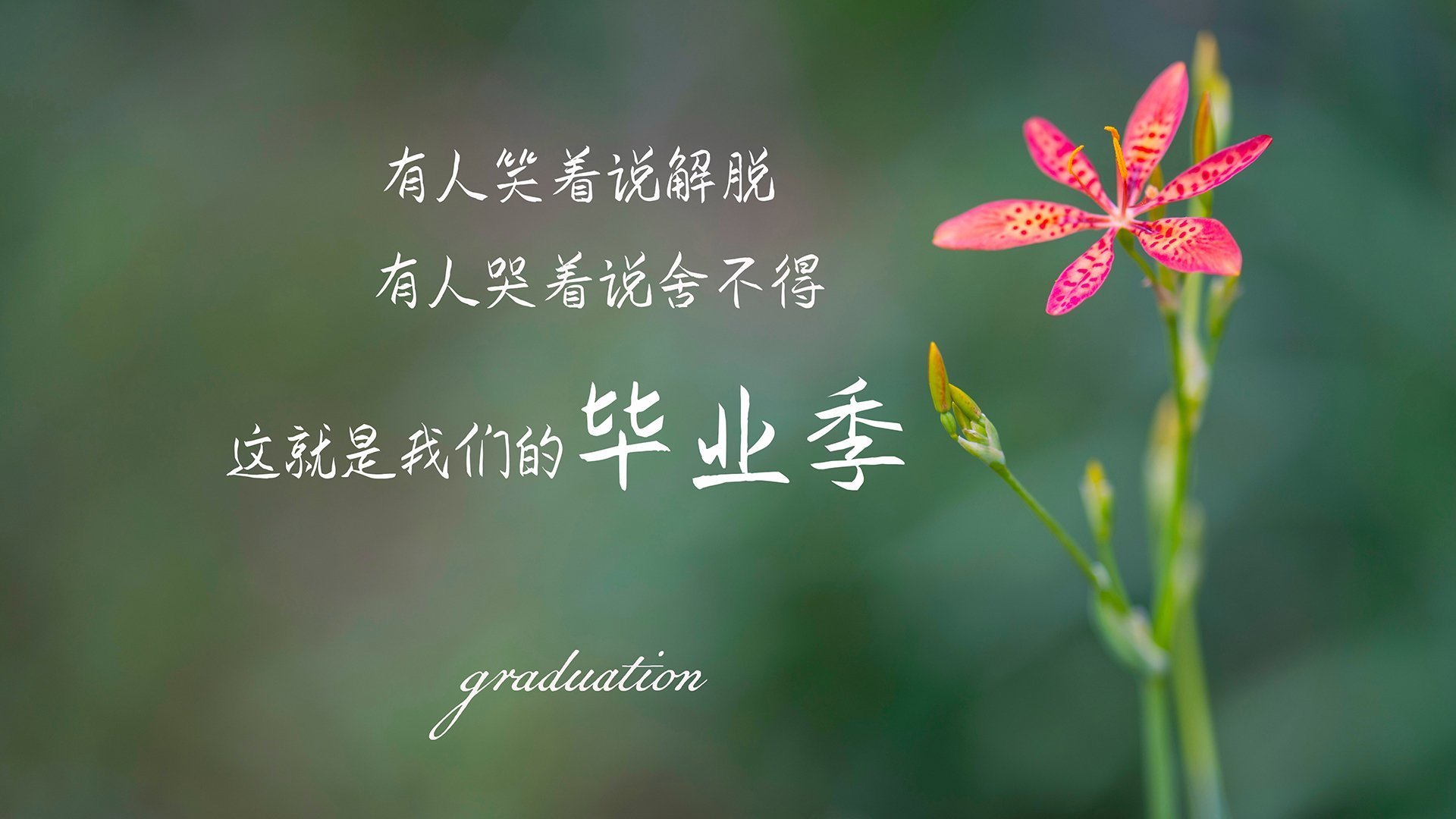 湖人王者无情狂胜爵士,拉梅洛·鲍尔掌控全局