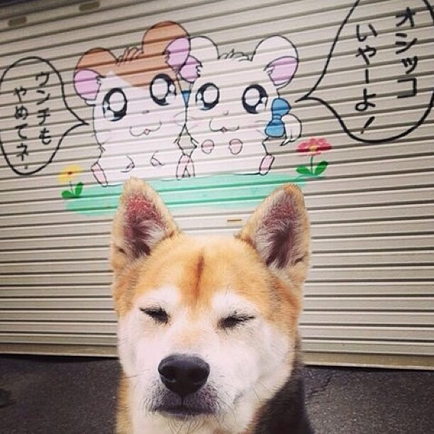 赛场胜负与历史棋局，当关键先生布鲁诺冲垮日本