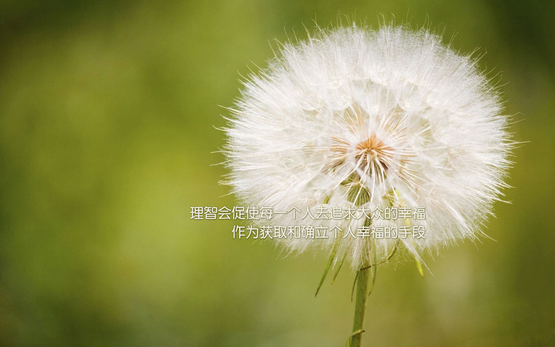 1.跨越质疑的进球，罗德里戈一箭定乾坤，墨西哥力克塞维利亚彰显团队韧性