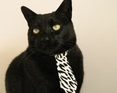 跨界传奇，伦纳德从NBA爆冷到欧冠决赛的统治时刻