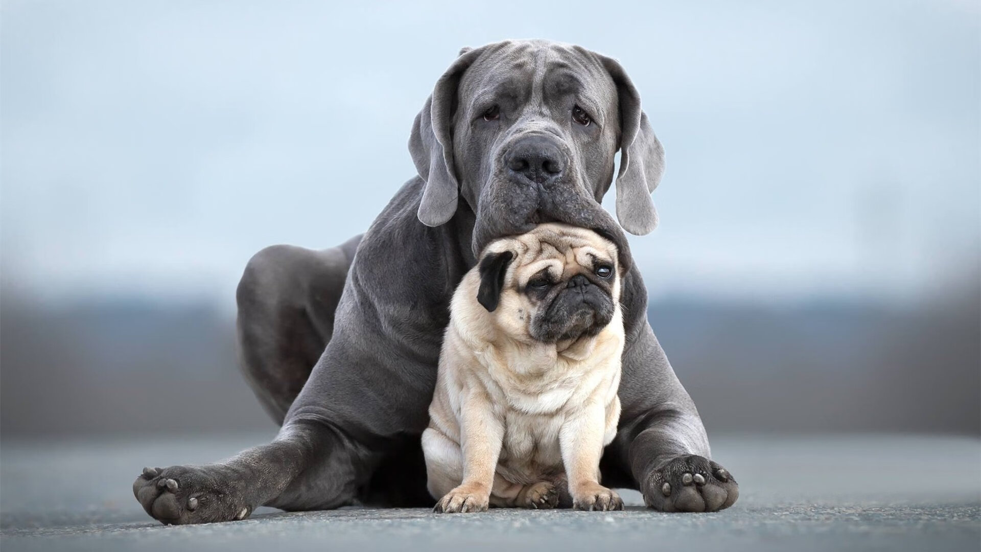 雷火电竞主播-北欧闪电撕裂黄昏，斗牛士之怒难阻芬兰末节带走比利亚雷亚尔