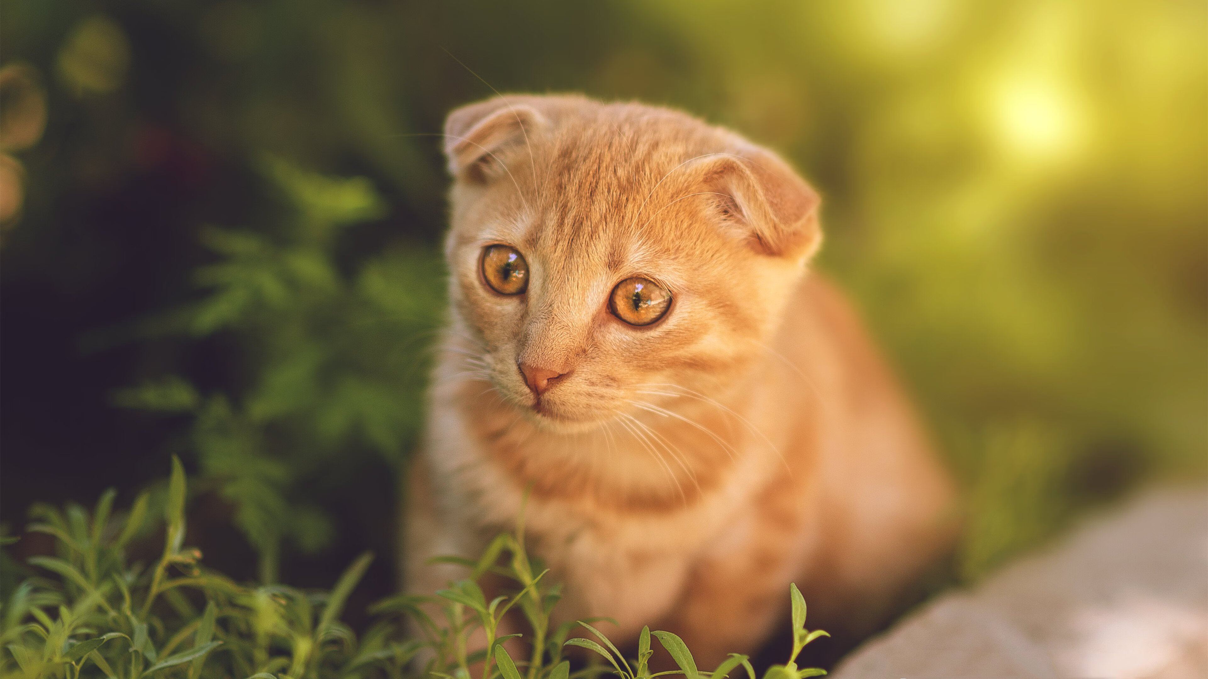 以下是为您构思的标题和文章