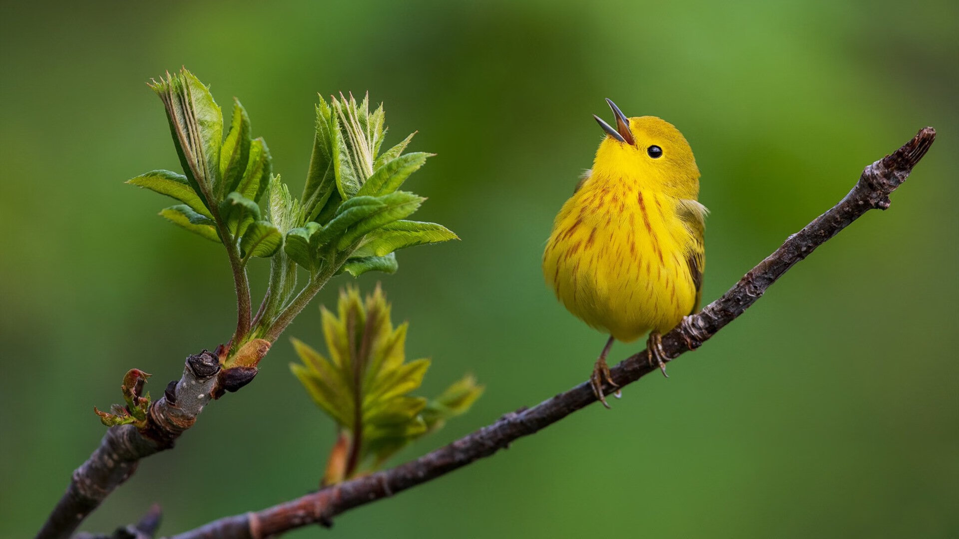 以下是为您构思的文章标题与正文