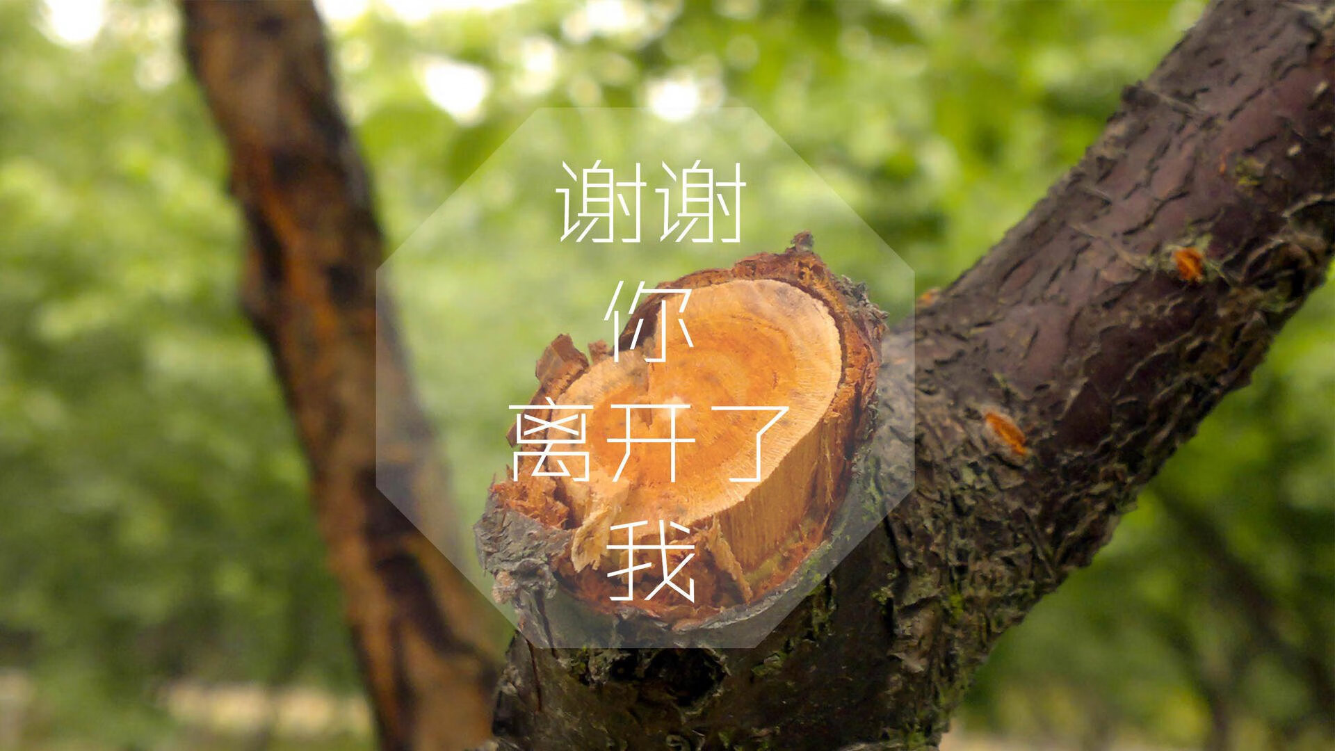 雷火电竞入驻-沙漠之战，努涅斯神迹绝杀，阿联酋撕裂哥斯达黎加铁幕